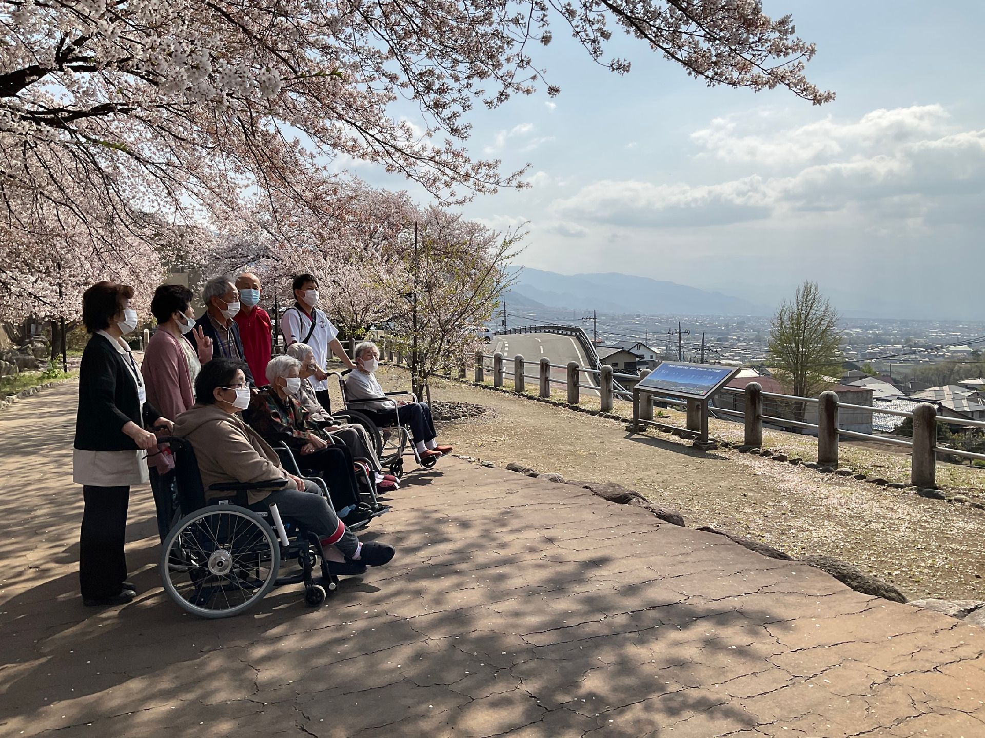桜の樹の下で車椅子に乗る方とそのヘルパーが丘の上で景色を見ている