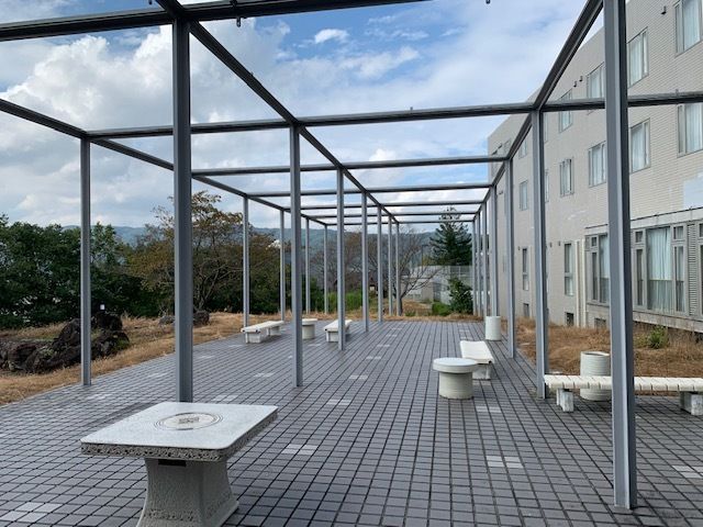 広々とした開放的な中庭