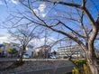 住宅型有料老人ホーム すずらん岩倉市