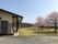 桜が２本植えてある施設の中庭と建物の様子。平屋建ての建物