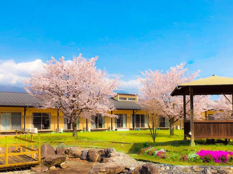 東屋や桜の花がある広めの中庭の様子。施設の中庭を写したもの