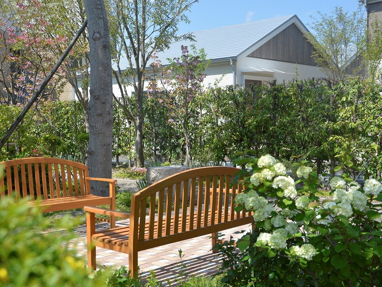 施設内の遊歩道。四季雨を感じる草花があり素敵だ