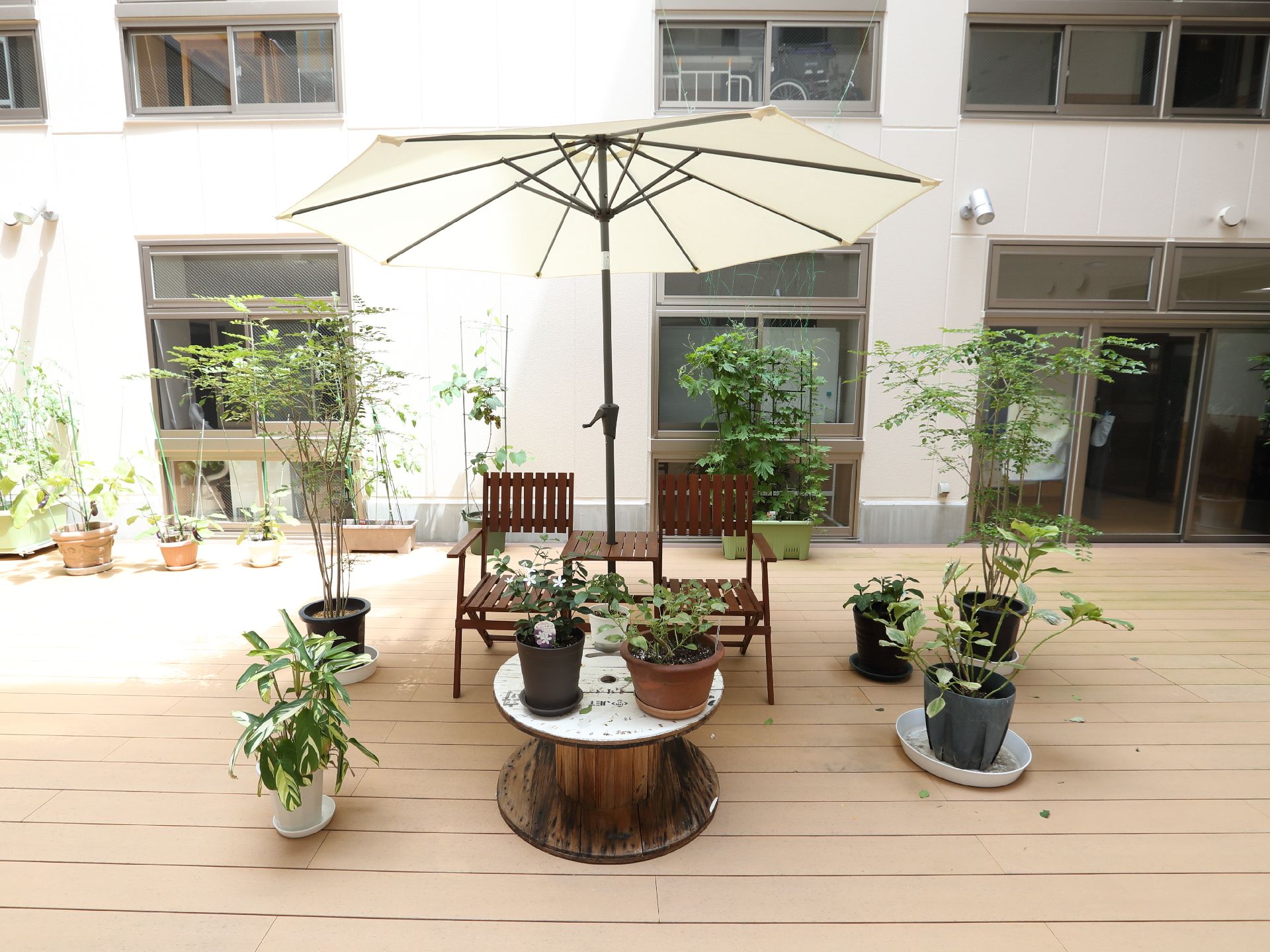観葉植物のある中庭