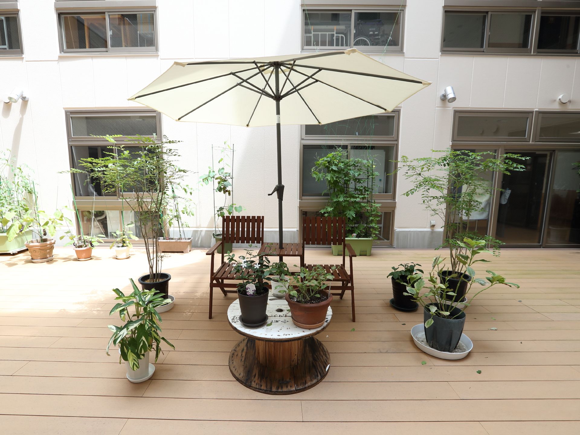 白い建物の側面にある植木鉢が置かれた木製の床の広間