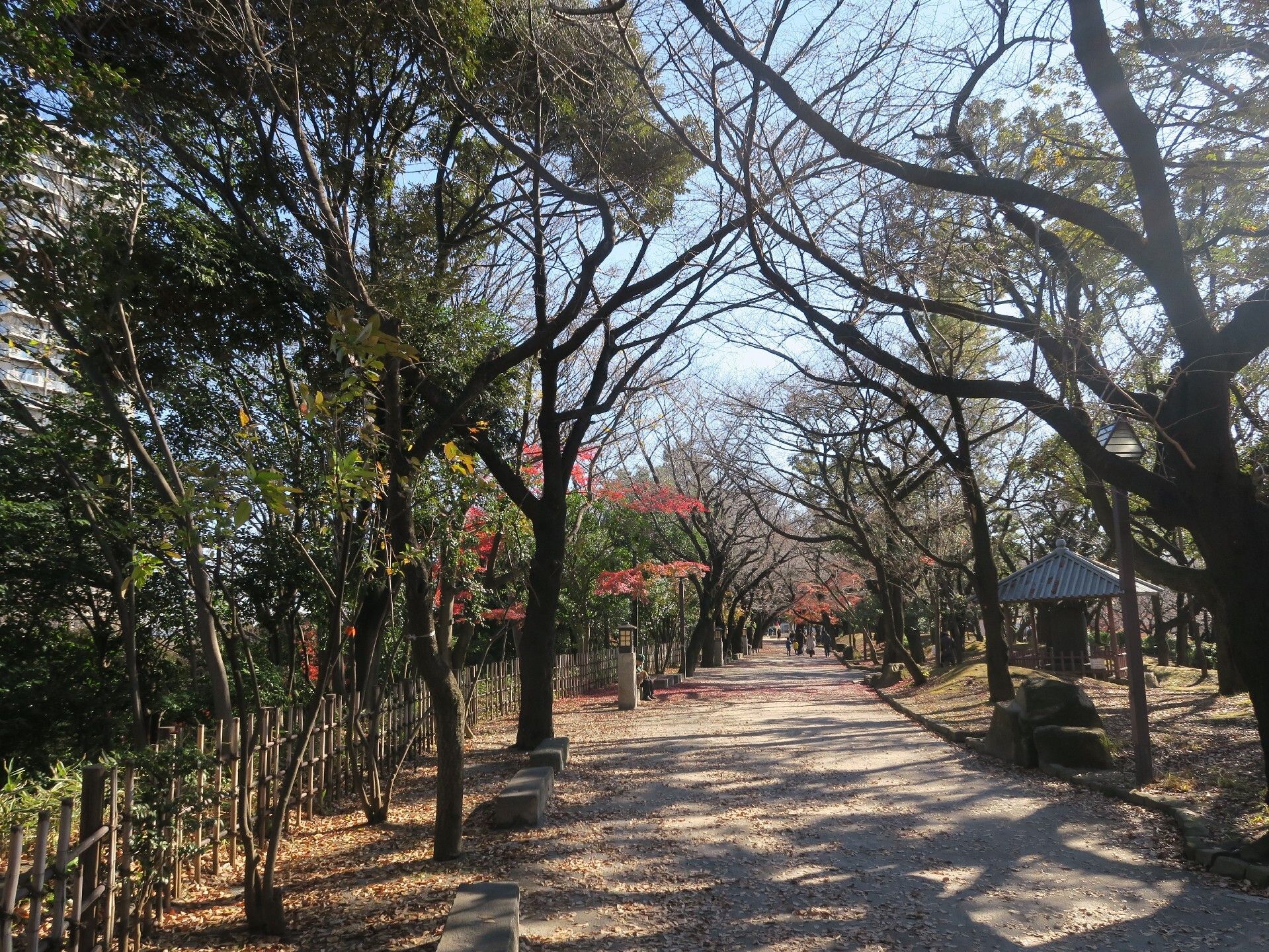 公園内には遊歩道があり、両側に植えられた木々がアーチを成している。途中所々に長石がおかれ、腰掛けている人がいる。