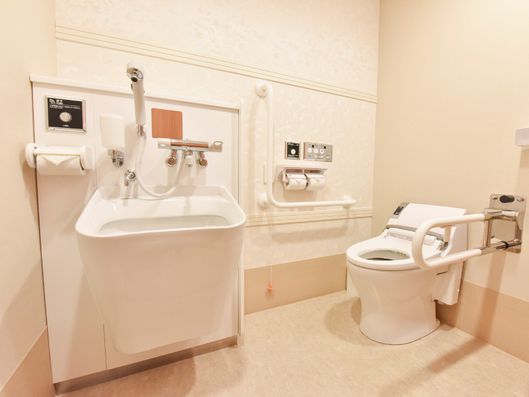 トイレ内シャワー