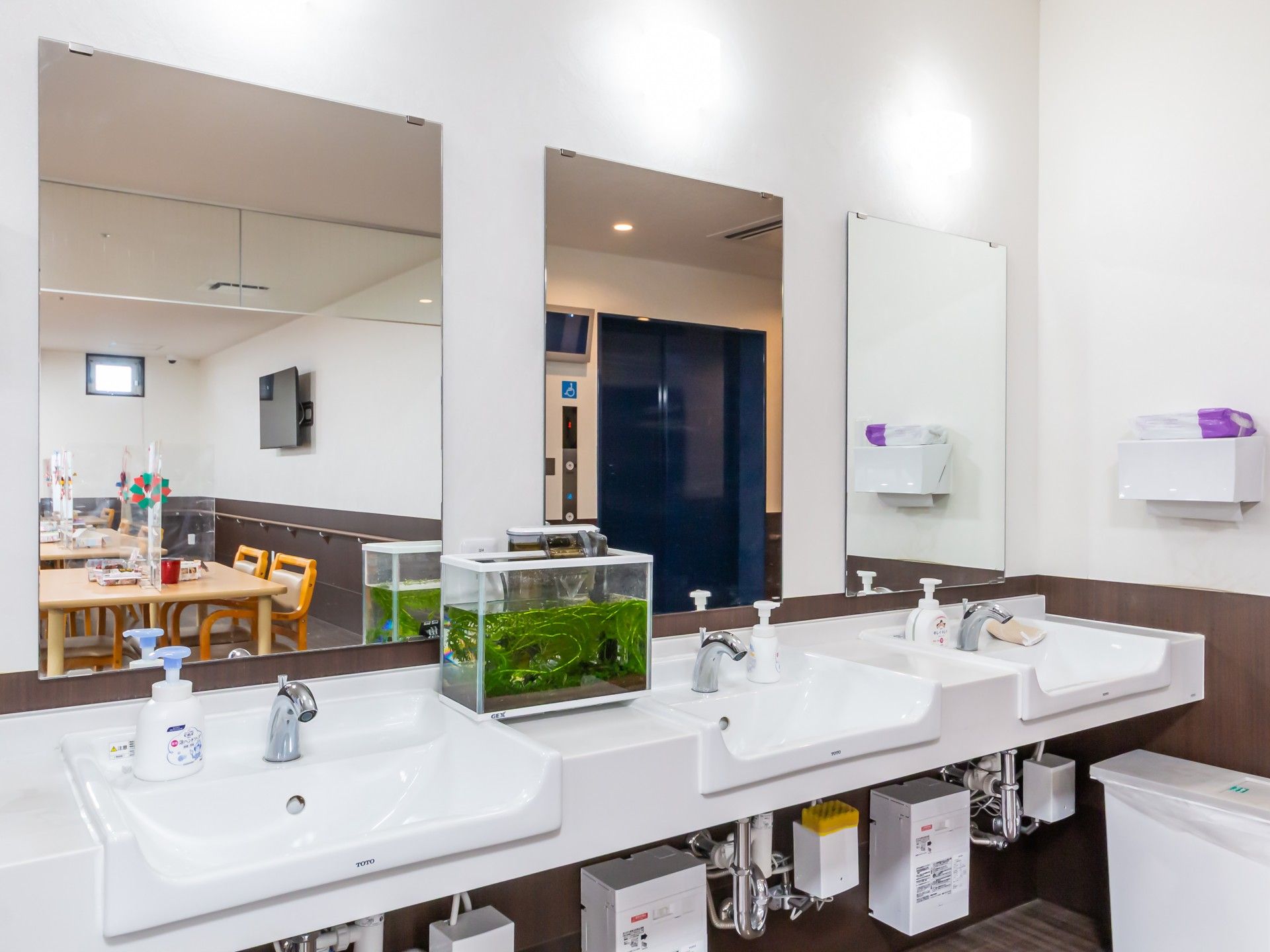 清潔な洗面台と水槽