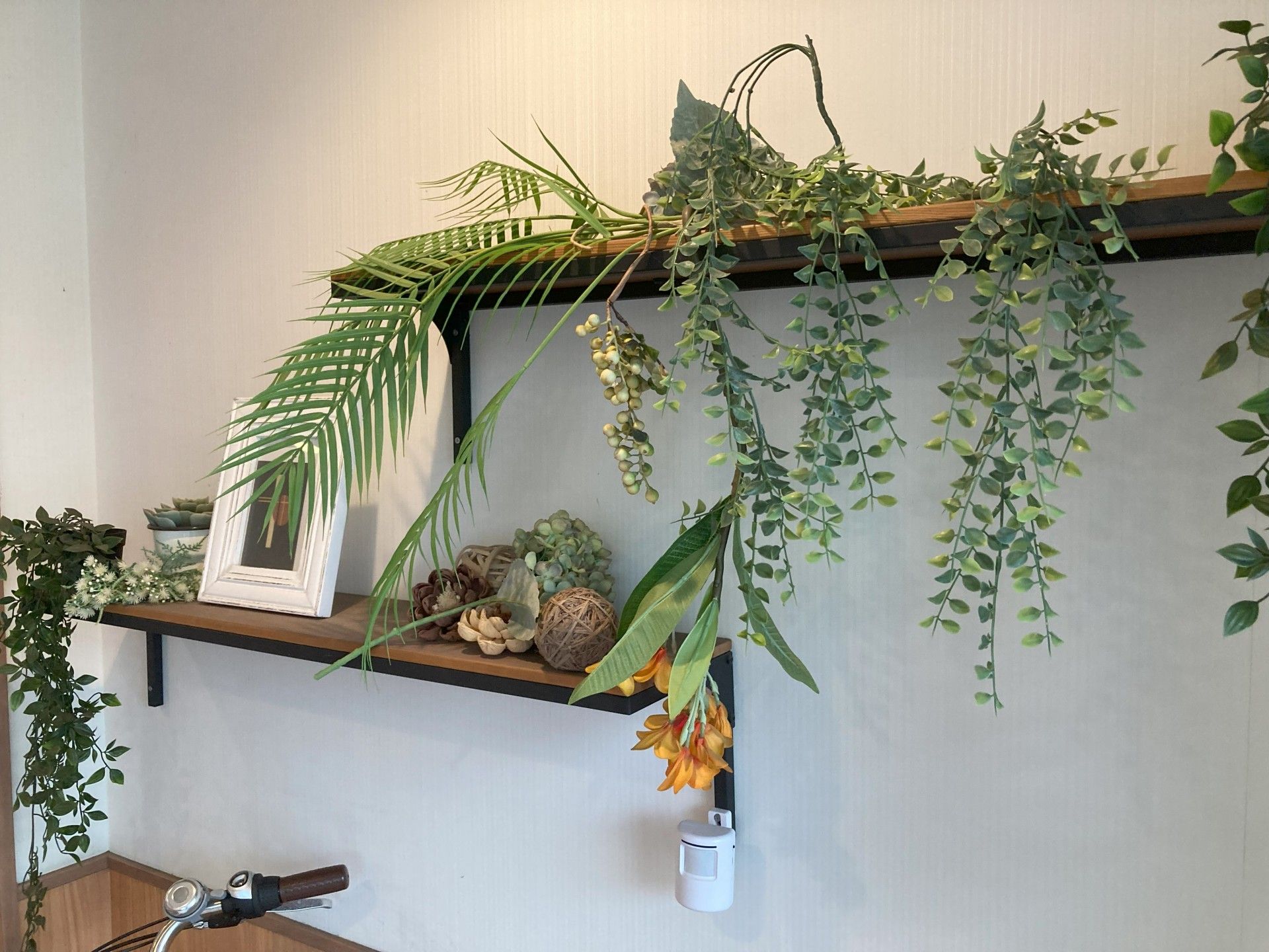 緑豊かな装飾の壁面