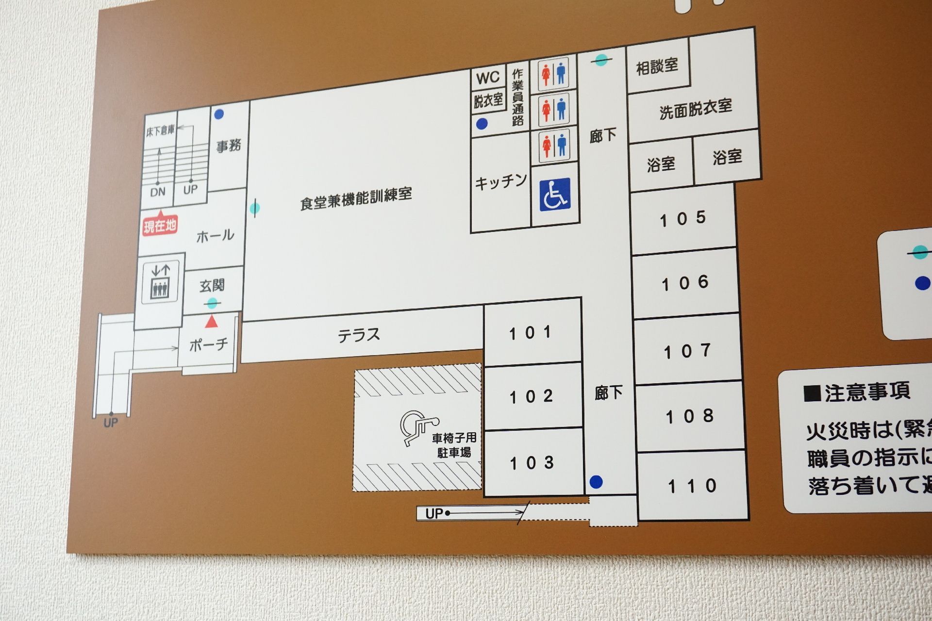 車いすに乗った女性に話しかけるスタッフとの2ショット。笑顔を見せている高齢の女性