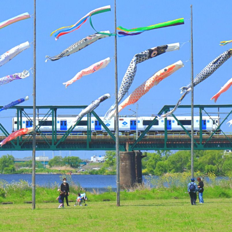 遠賀川の鯉のぼり