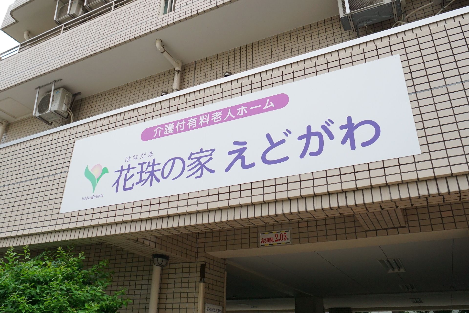 日当たりのいい屋内でどこかを指さしている車いすの高齢女性。そばにはエプロンを付けた女性スタッフがいる。