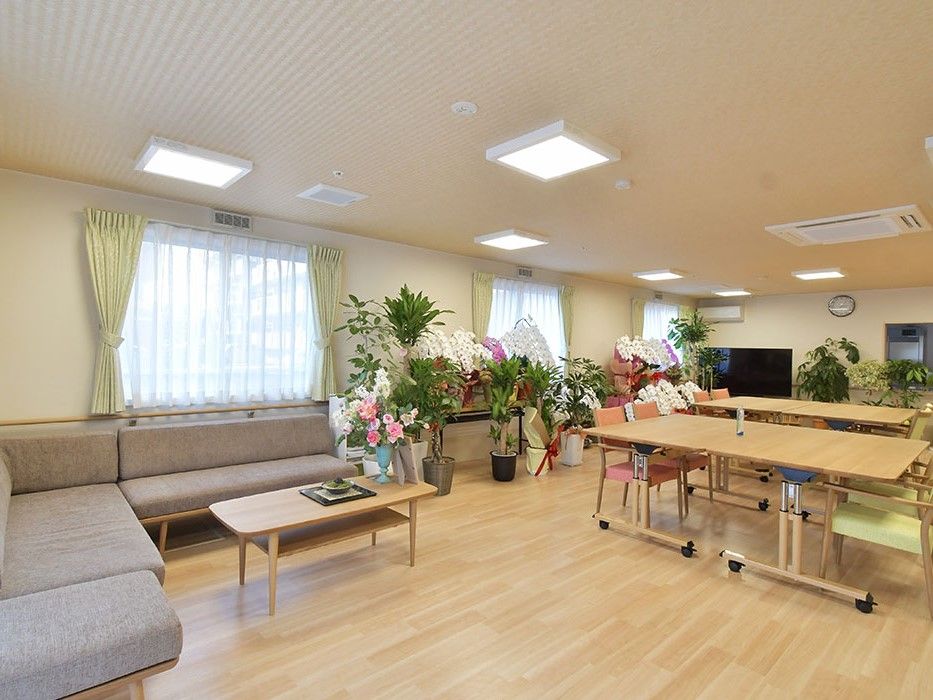 蘭の花が数多く飾られ、大型テレビやソファー、テーブルや椅子が並べられている広いスペース