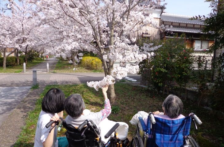 桜と触れ合う利用者