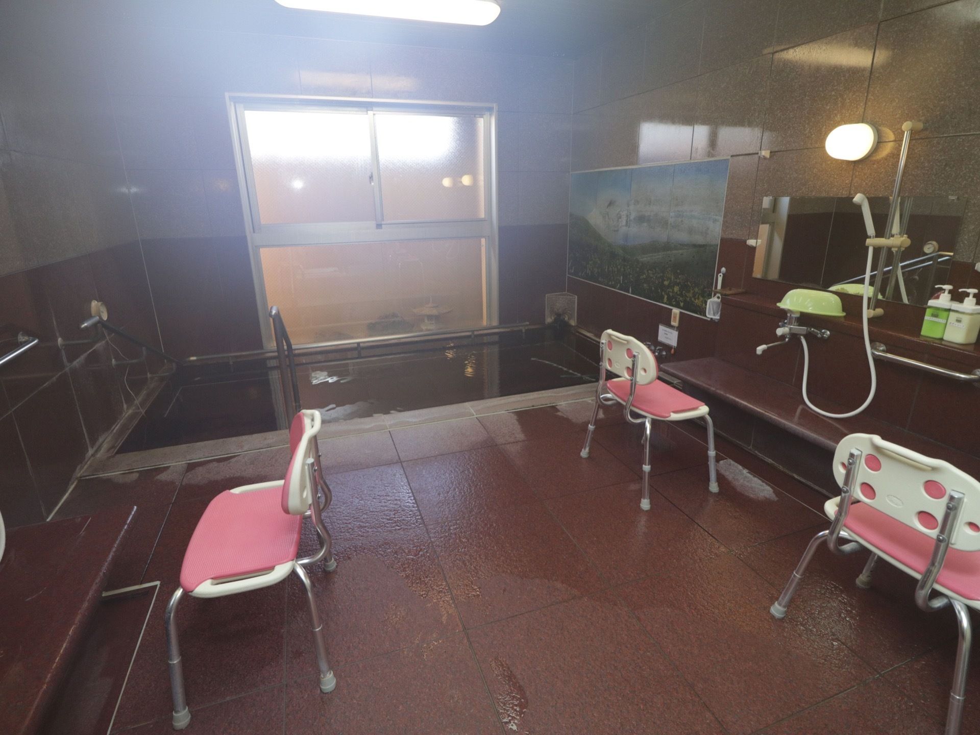 温泉旅館を思わせるような本格的な大浴場である。落ち着きのあるえんじ色を基調としており、ステンレス製のしっかりした手すりが完備されている。