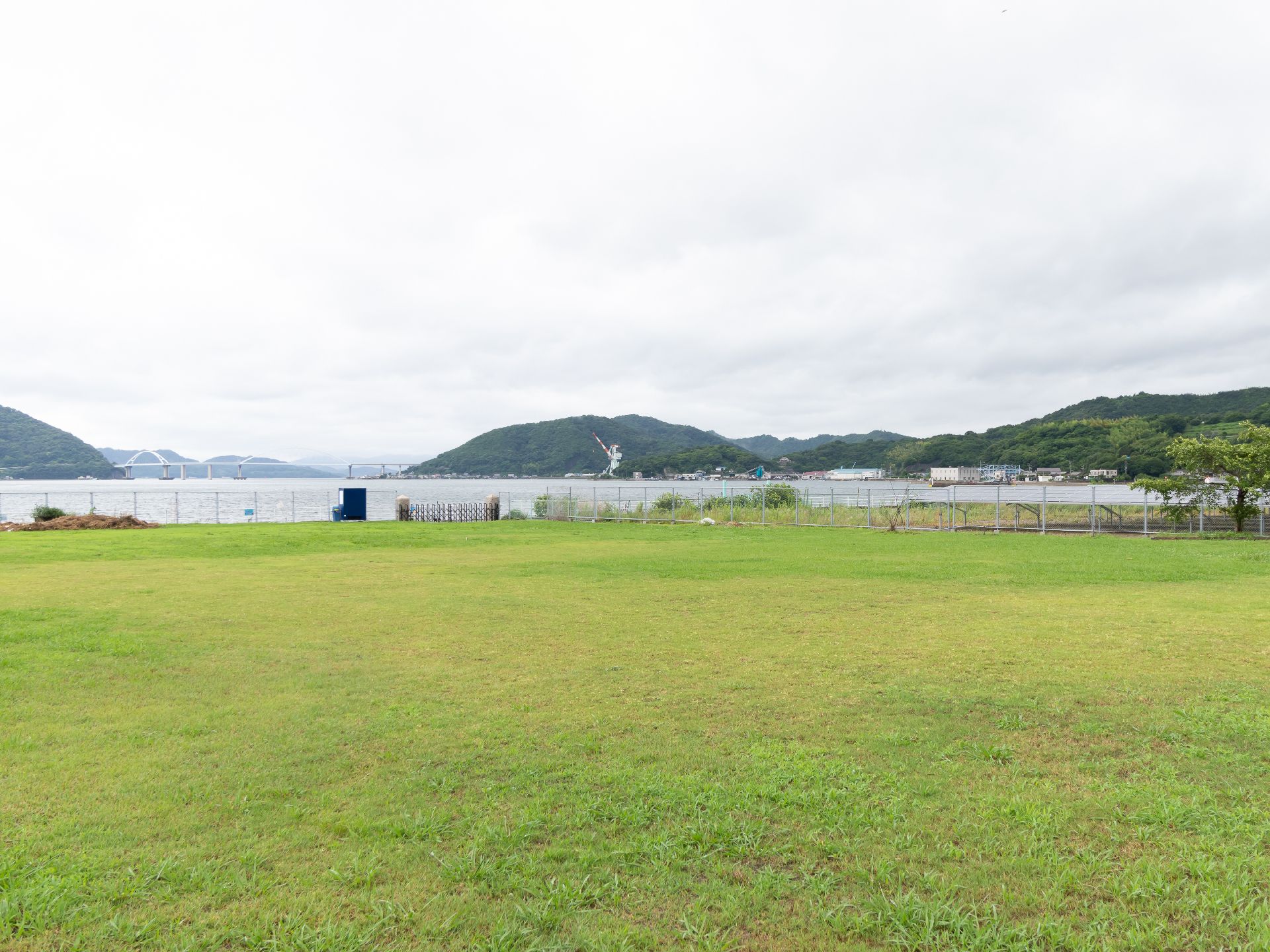 奥に山が見える植物が広がった土地