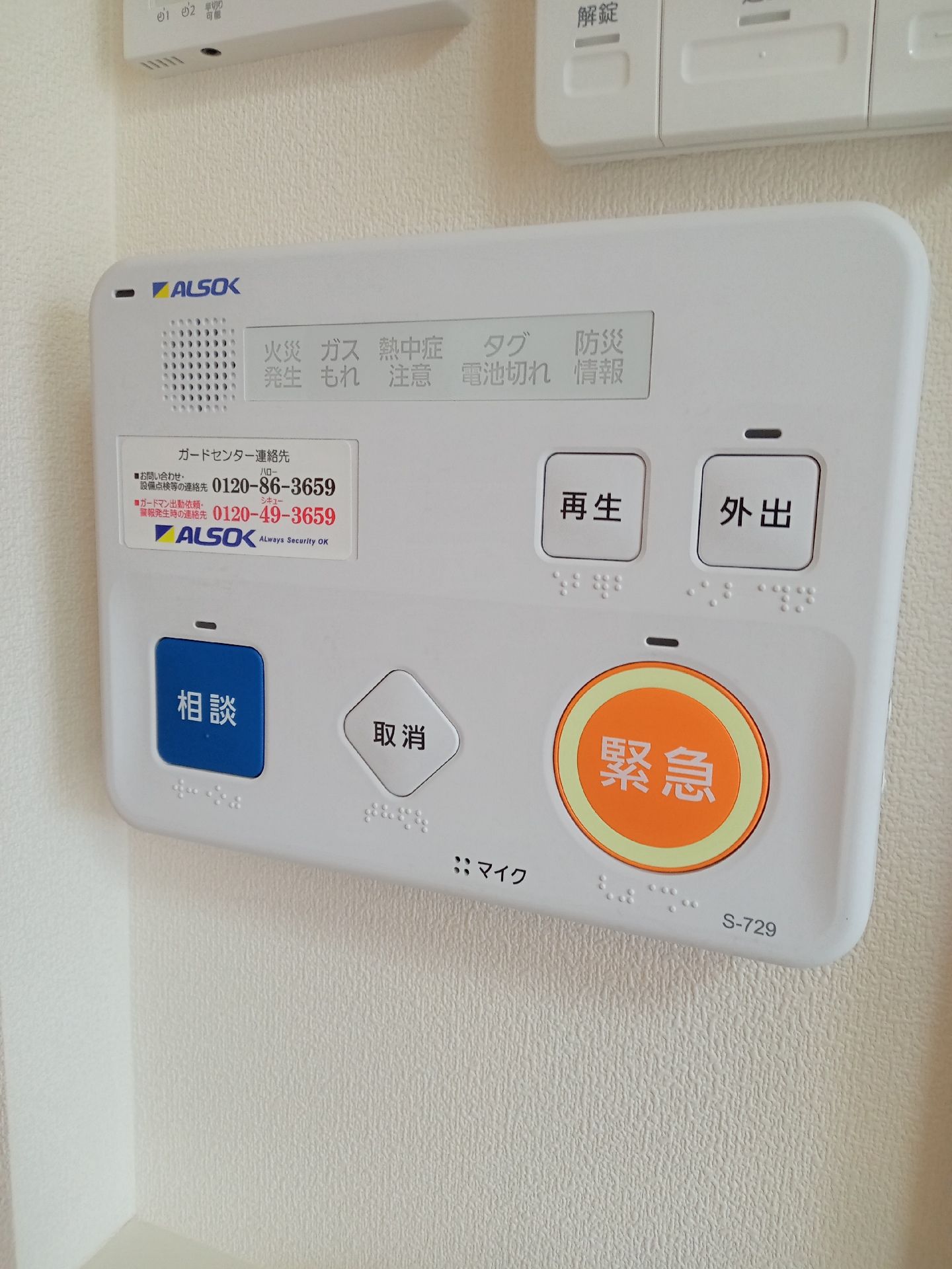 原っぱのような場所をエプロンを付けた若い女性スタッフに付き添われて散歩をしている高齢女性。