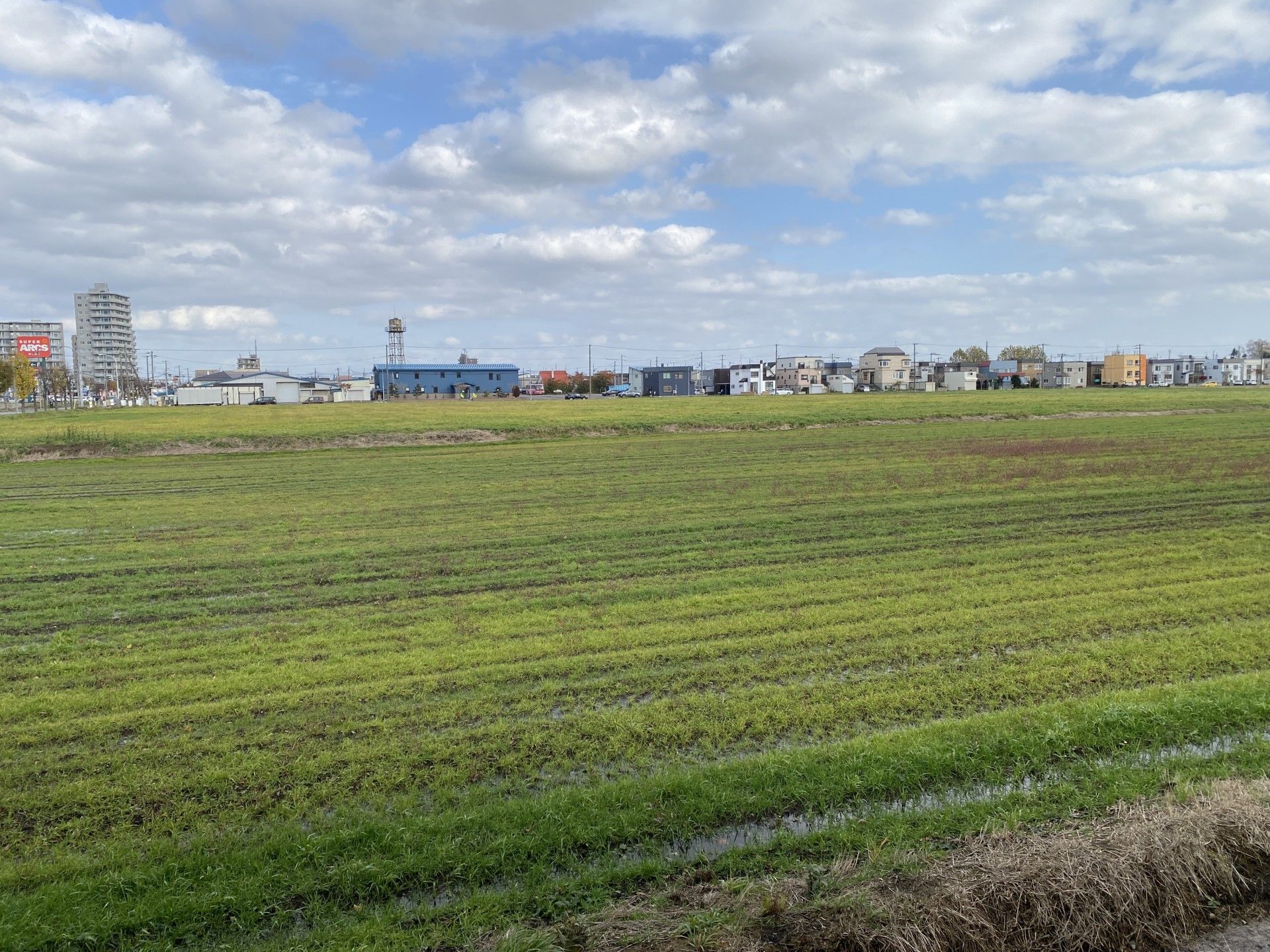 広々とした田園風景