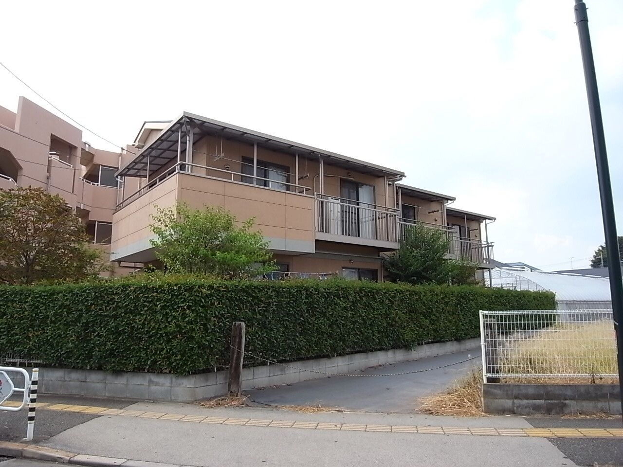 緑の多い屋外で笑顔で過ごしている車いすの高齢女性と付き添いの男性スタッフ。スタッフはエプロンをしている。