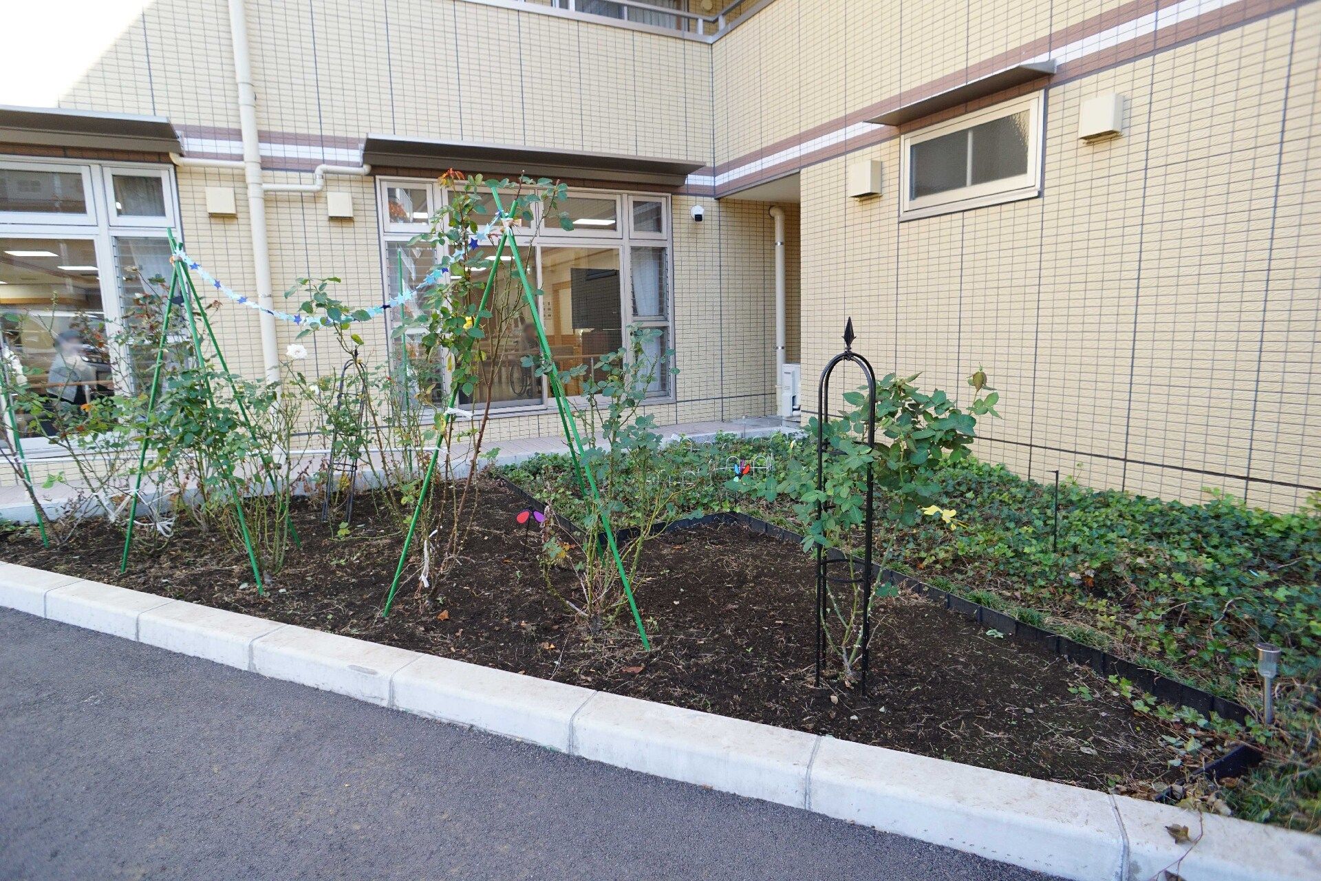 敷地内にある、植物や木が植えられている中庭