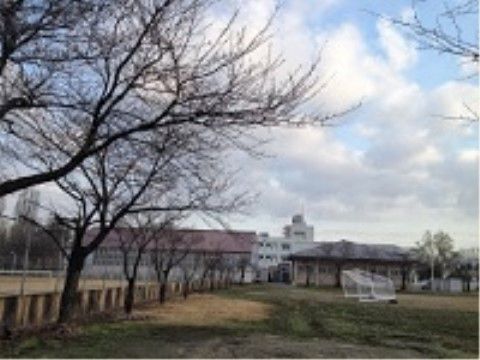 アダージョ福住（介護付有料老人ホーム）の周辺環境。大きな公園もございます。毎日小さな子どもで賑わう公園です。