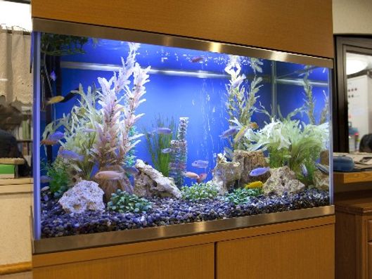 アクアリウム