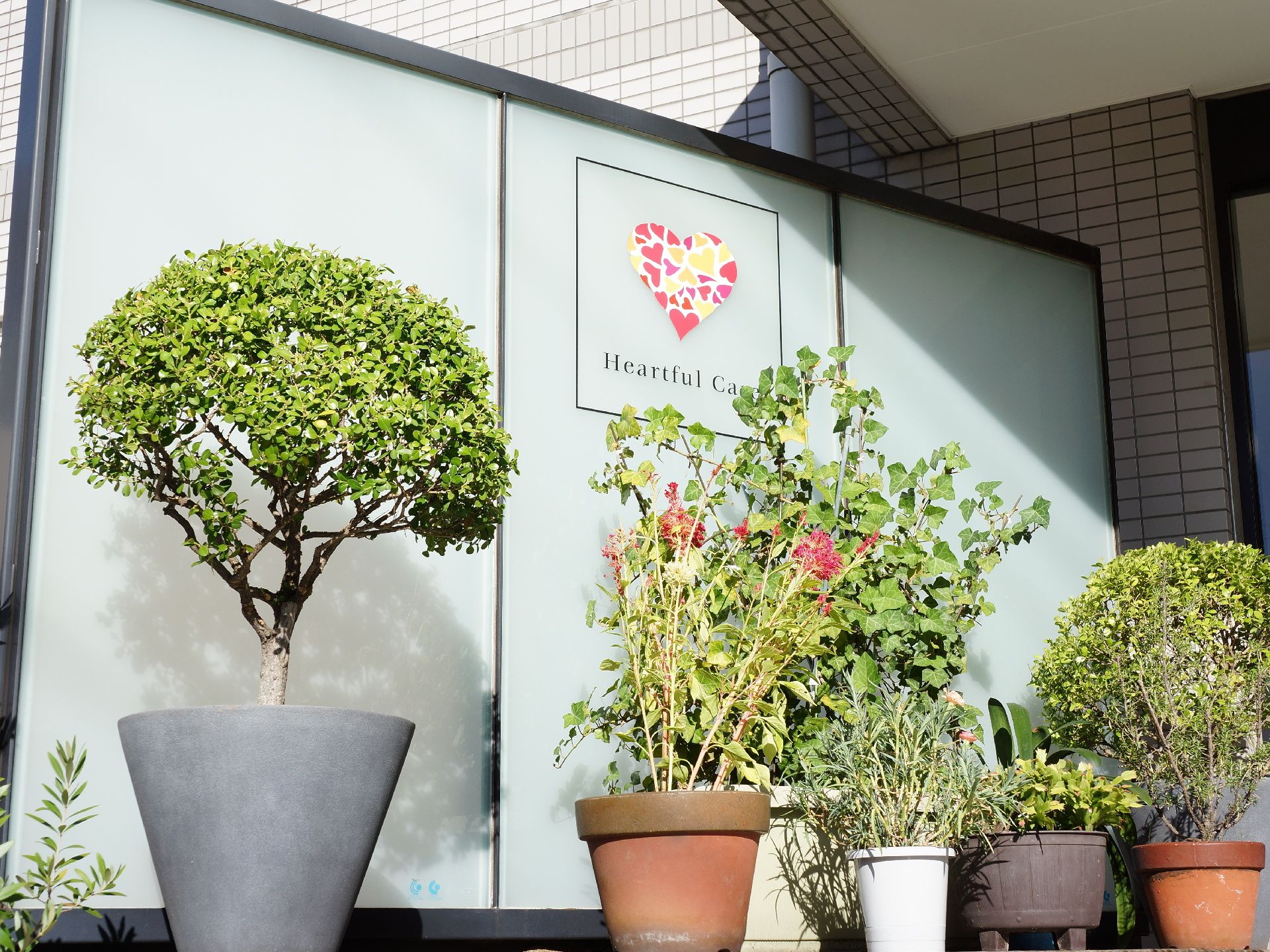 施設のシンボルマークのプレートが描かれたついたての下には大小さまざまなサイズの観葉植物が置かれている。