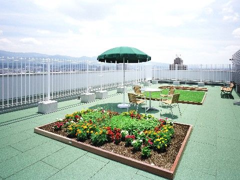 屋上には、植物を植えることができる土を入れたスペースが設けてあり、小規模なガーデニングをすることができる。