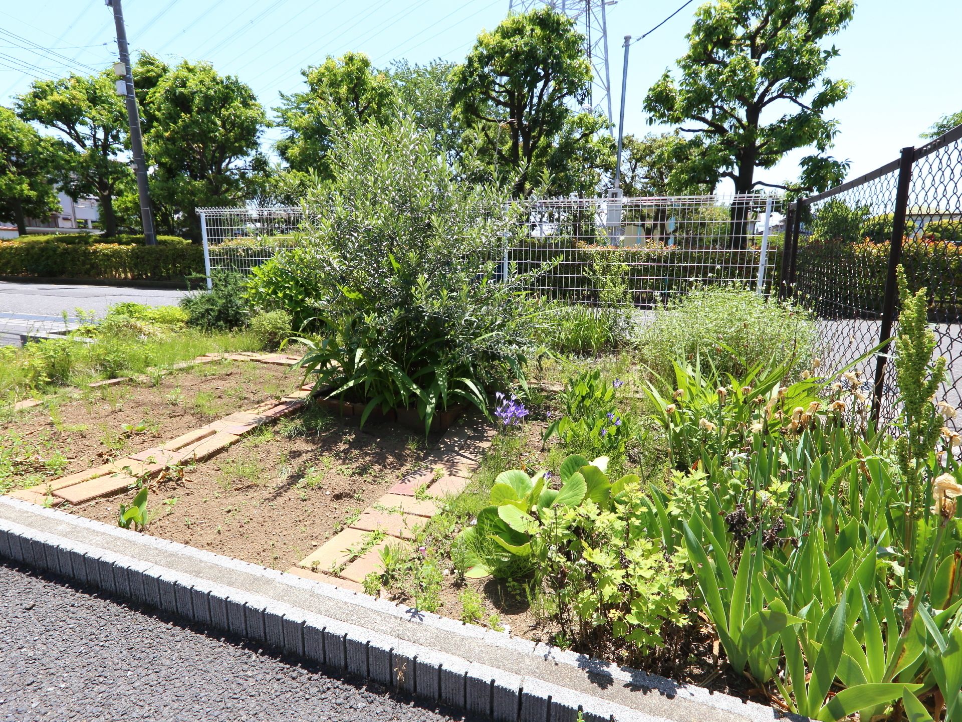施設の外側には、日光の日を存分に浴びて成長している数々の植物があり、生い茂っている様子となっている。