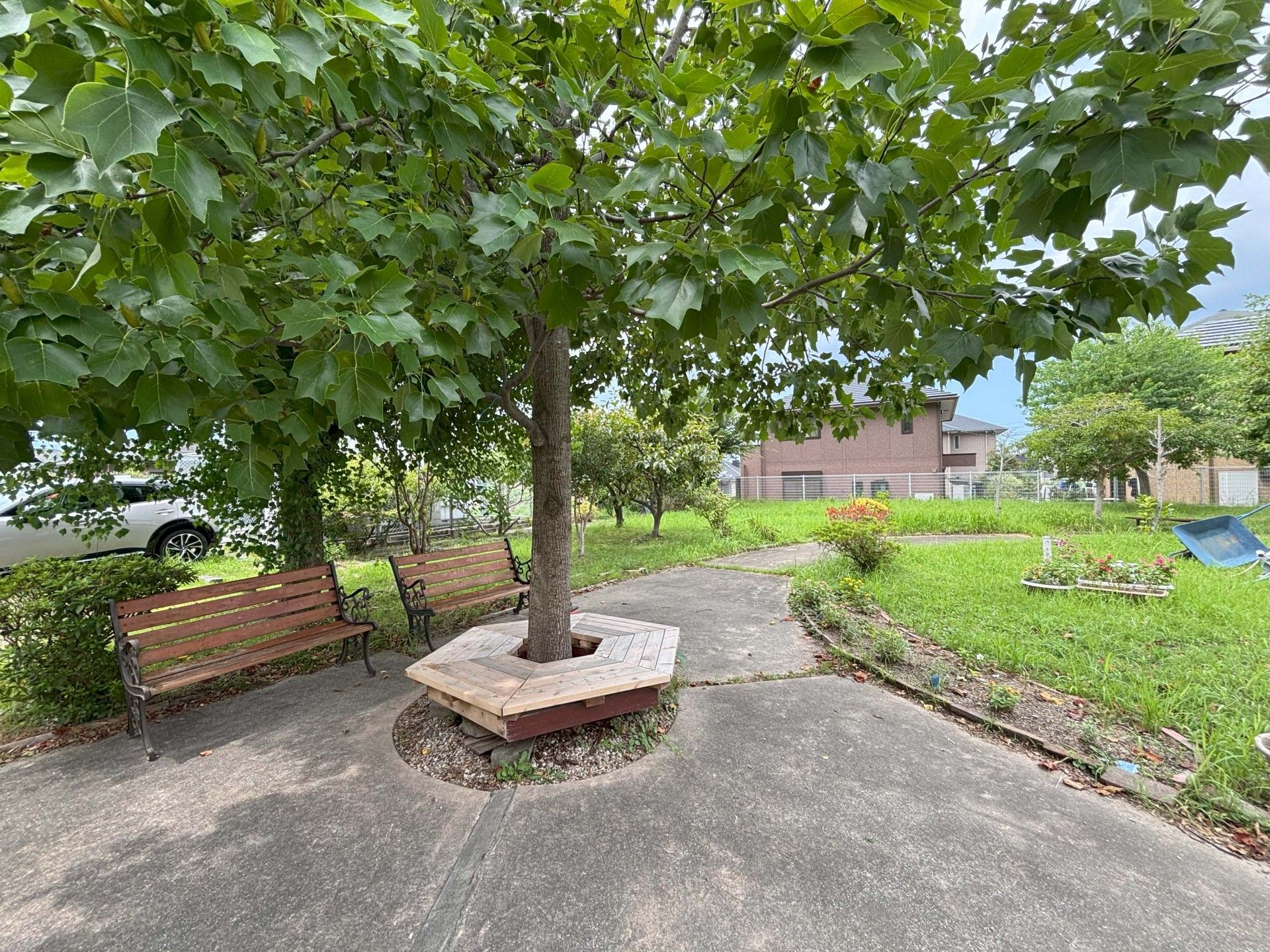 木陰のベンチと庭園