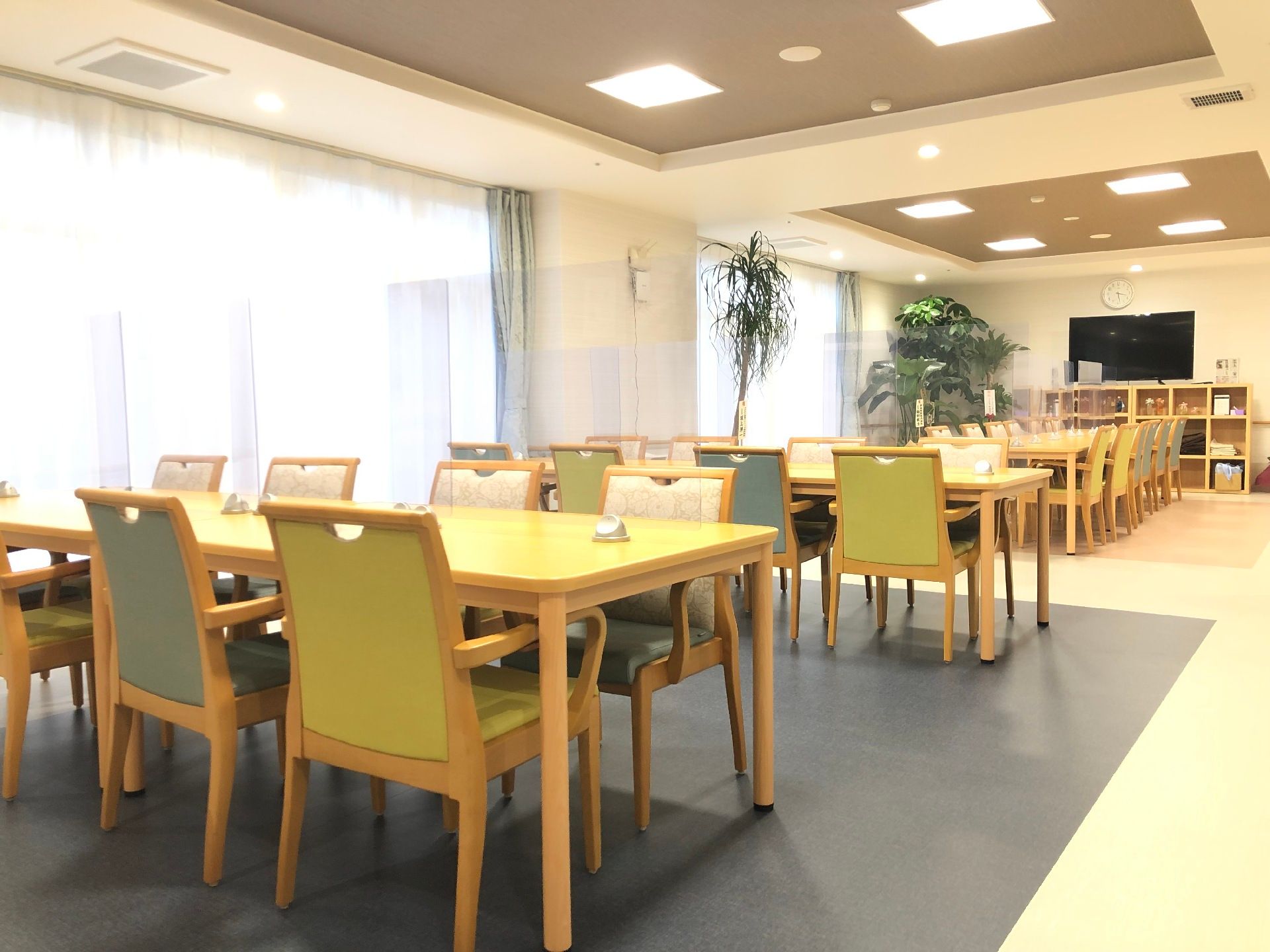 黄色やグリーンの椅子がセットされたダイニングテーブルがたくさん並んだ食堂には観葉植物も飾られている。