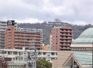 都市の中の安らぎの場所
