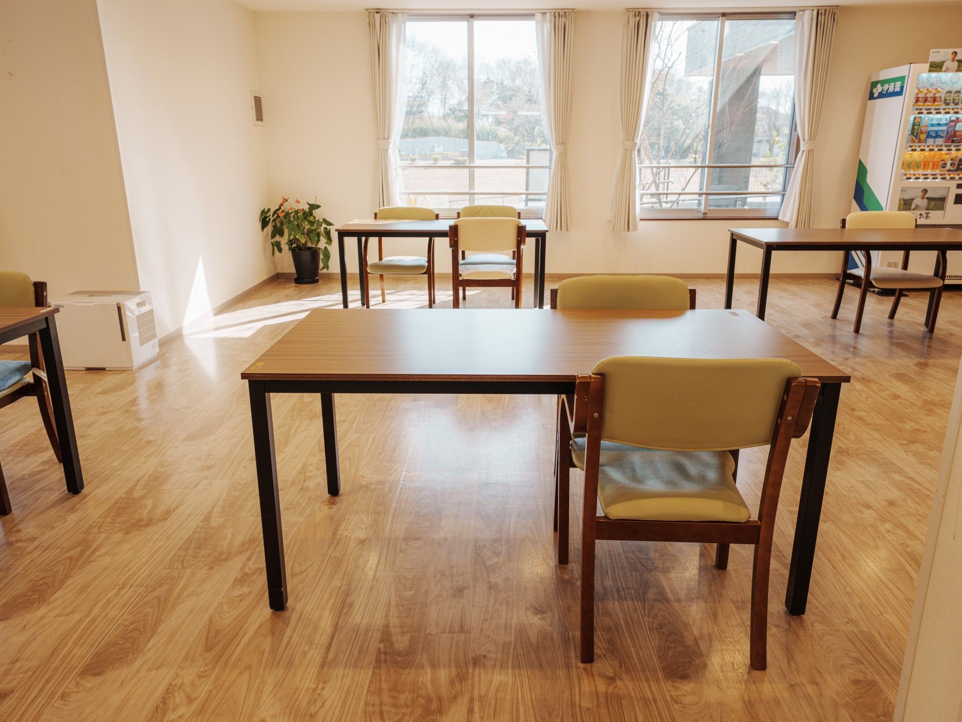 日差しが差し込む部屋