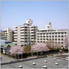 桜並木と共にある建物外観