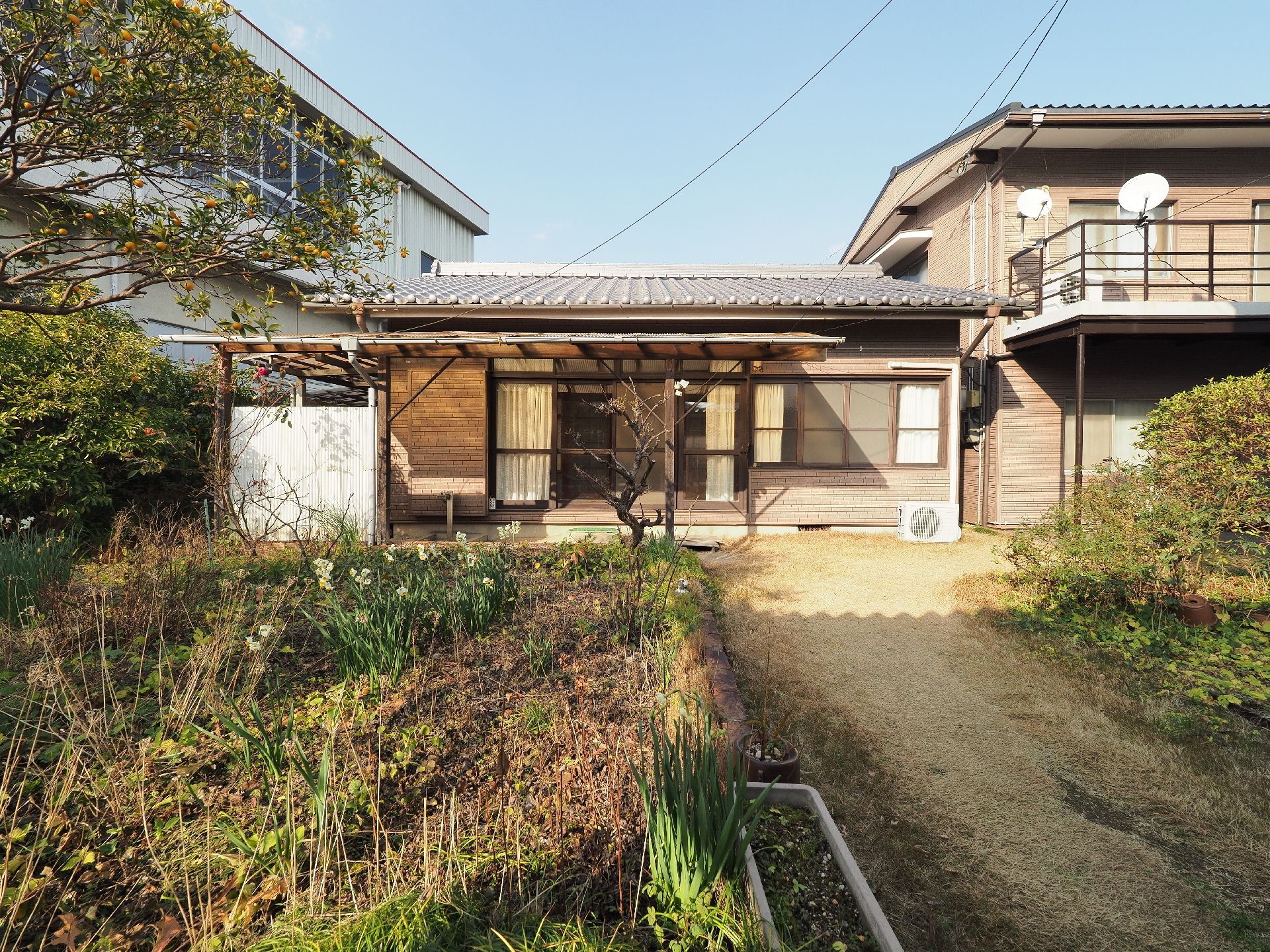 庭に畑と果樹や花木が植えられている、平屋の日本家屋