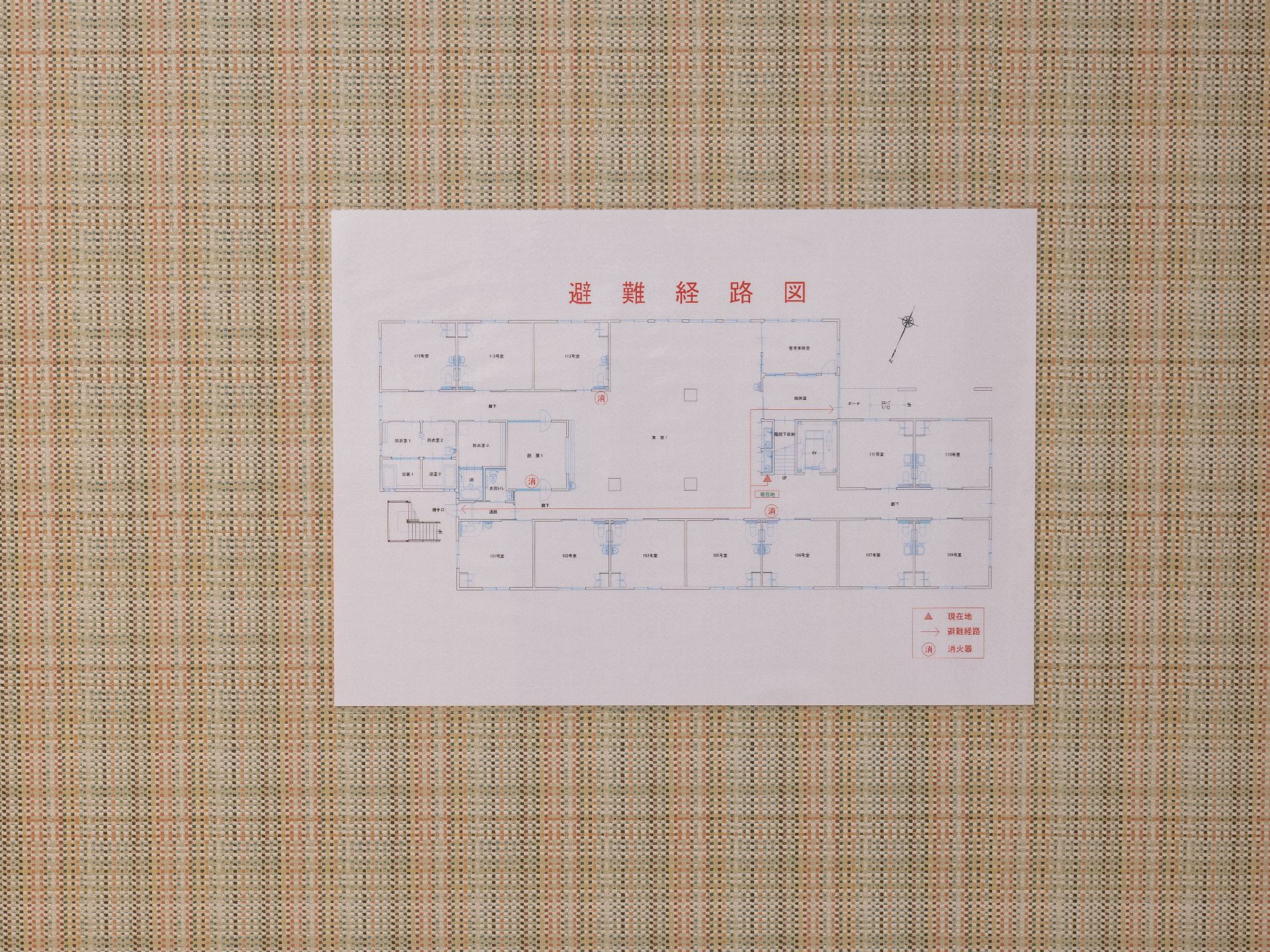 避難経路が記載されている展示物