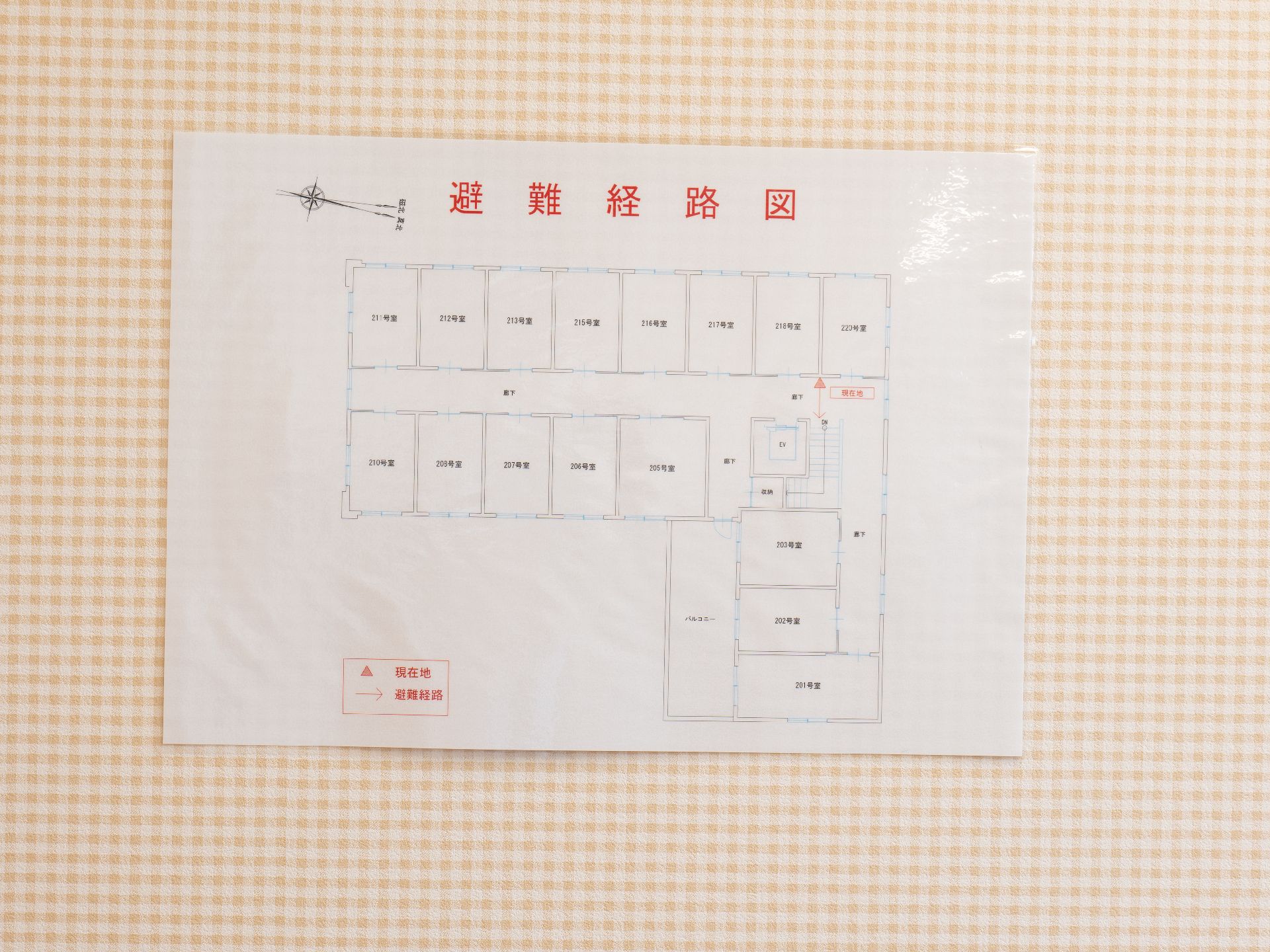 常にご覧いただけるよう設置された避難経路図