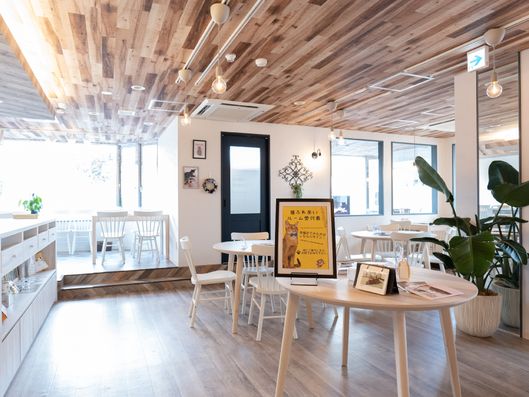 猫ふれあいルーム