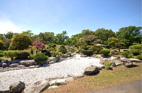 美しい庭園の風景