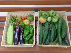 二つのかごにはたくさんの夏野菜が入っている。右側にはキュウリ、左側には白ナスやトマトなど。