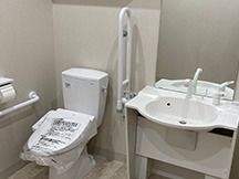 右側には車いす対応の手洗い場があり、鏡も付いている。左側には両サイドに手すりがあるトイレがある。