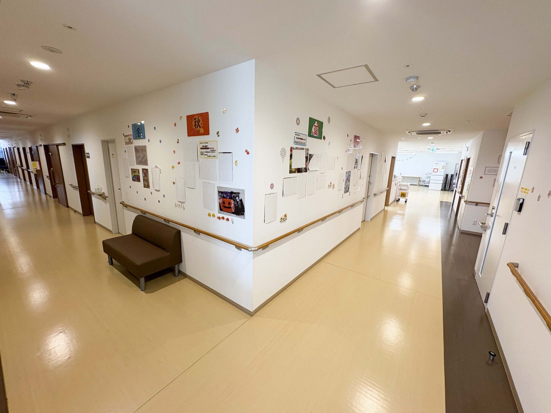 明るい廊下と掲示板