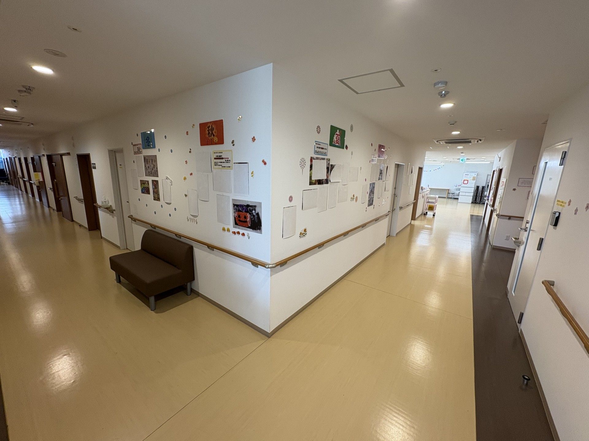 明るい廊下と掲示物