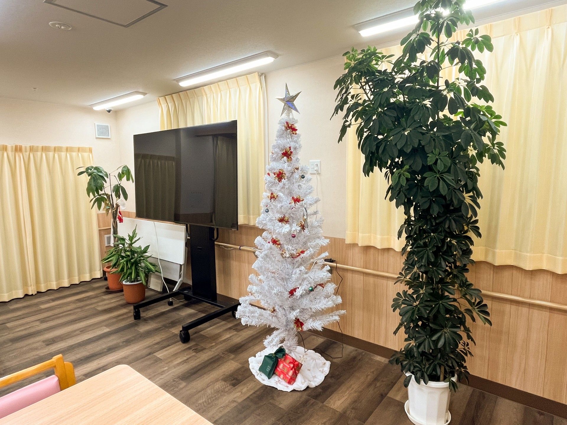 白いツリーと観葉植物の部屋