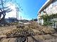 庭園のある建物の外観