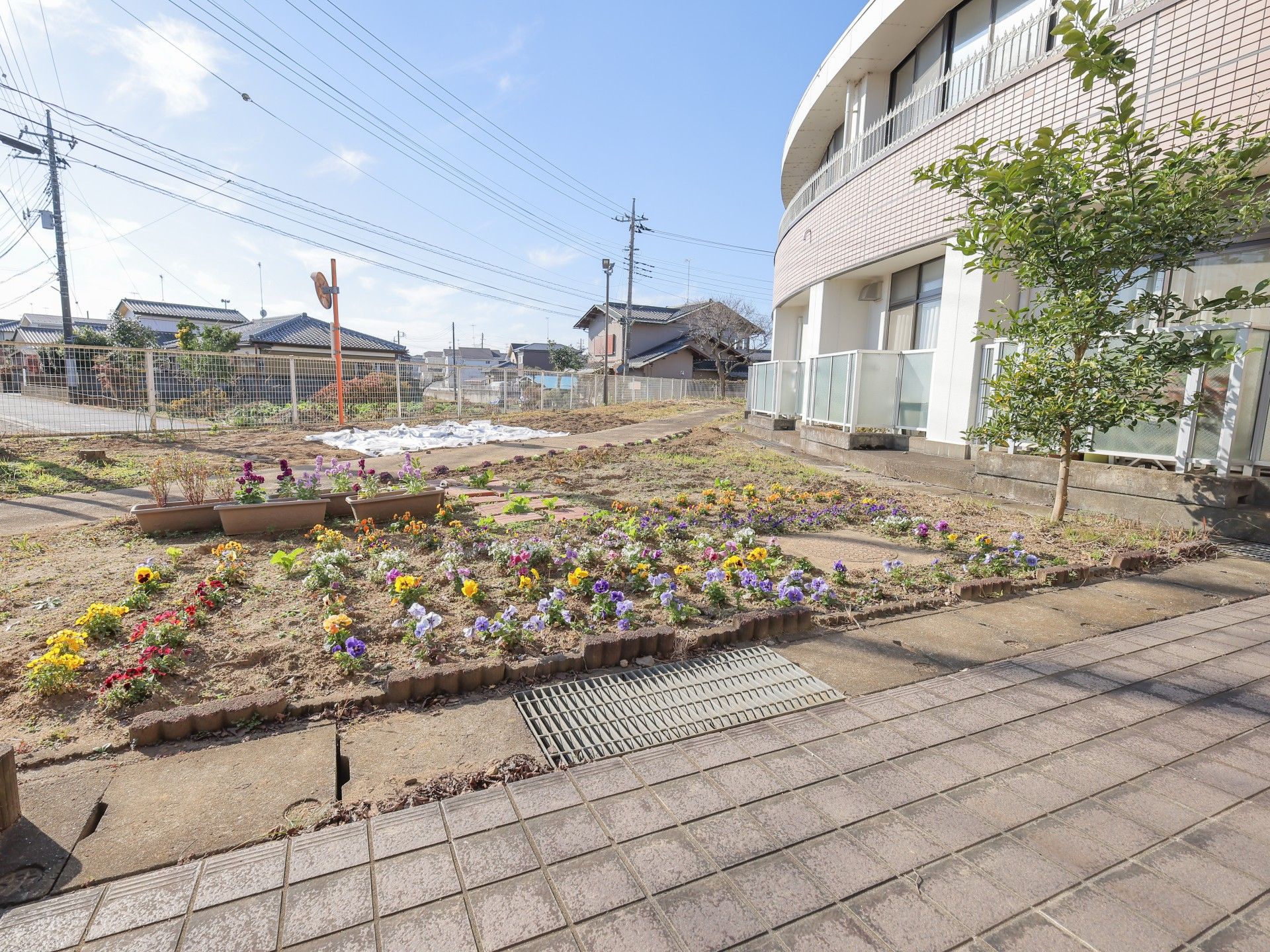 色とりどりの花壇の庭