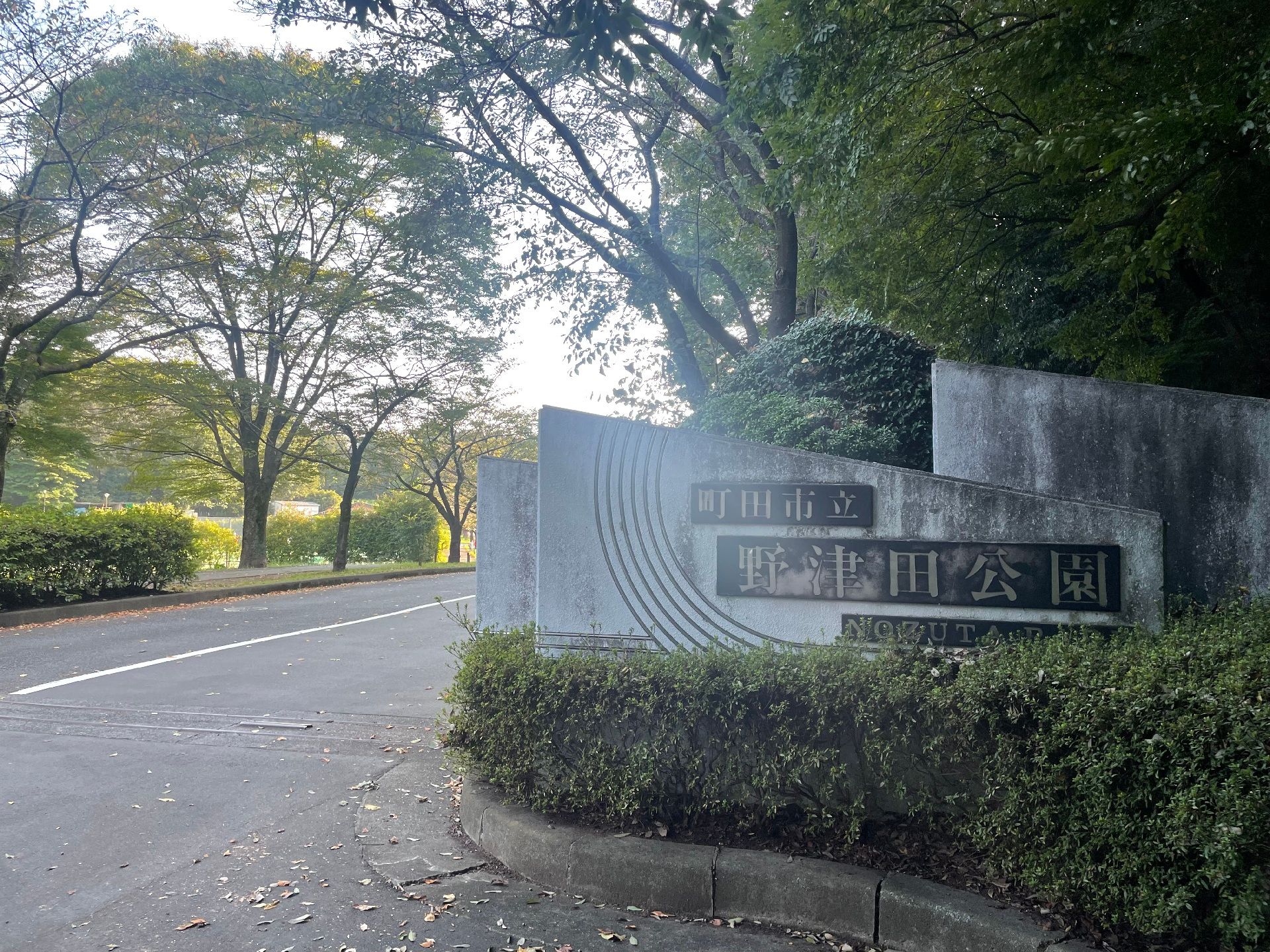 道路のそばには「野津田公園」と書かれた大きな石があり、その周りには草木が植えられている。