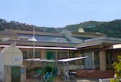 緑に囲まれた建物の外観
