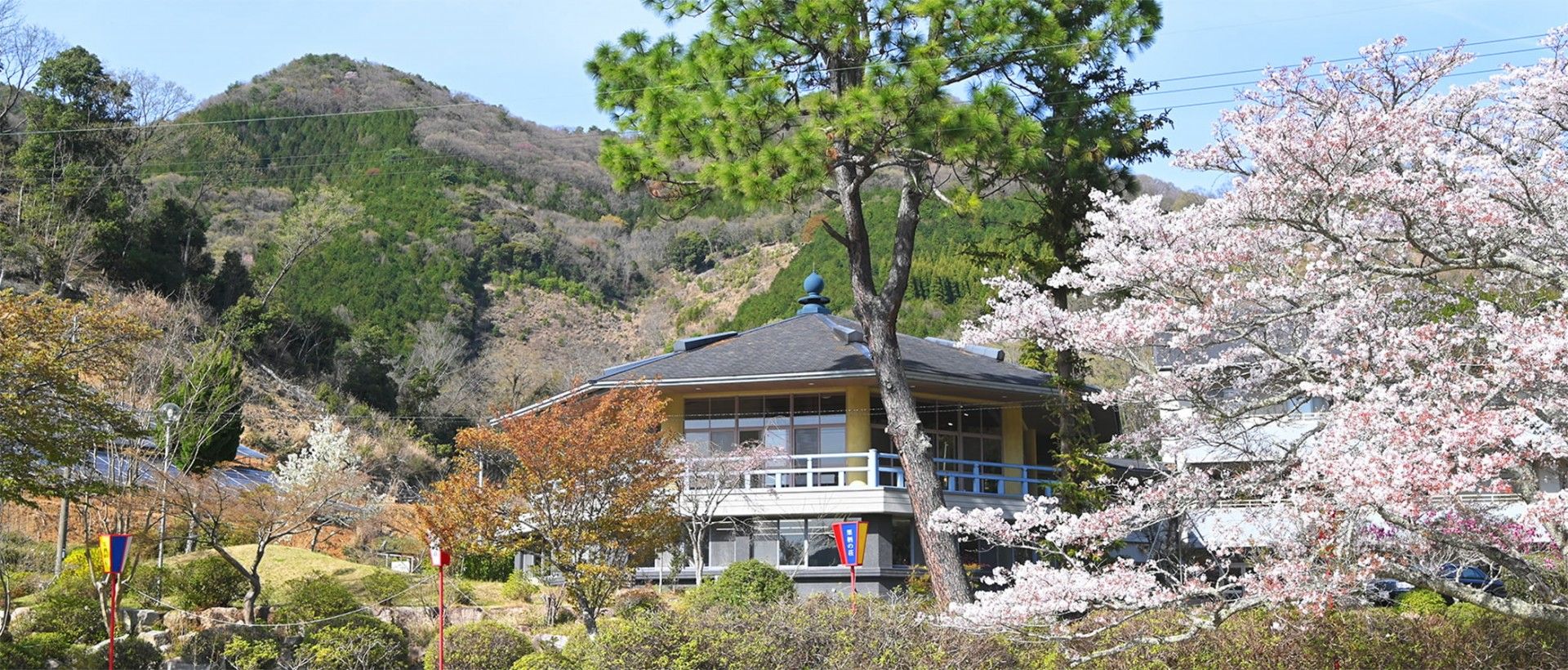 桜に囲まれた施設外観