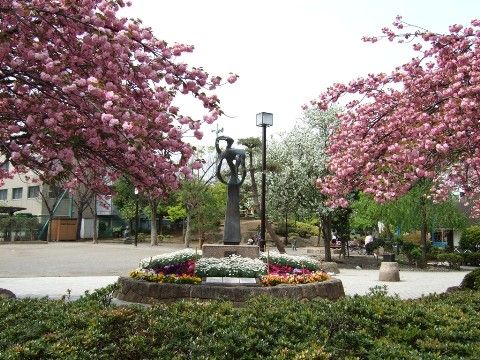 施設の前には大きな公園が広がっている。四季の花や緑を感じる散歩などをお楽しみいただける場所に立地している。