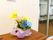花が飾られた施設